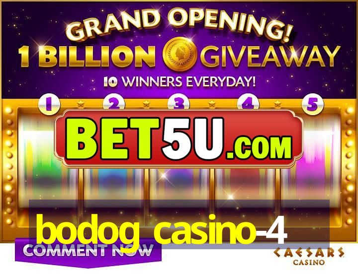 bodog casino